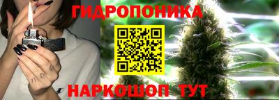 индика Мариинск