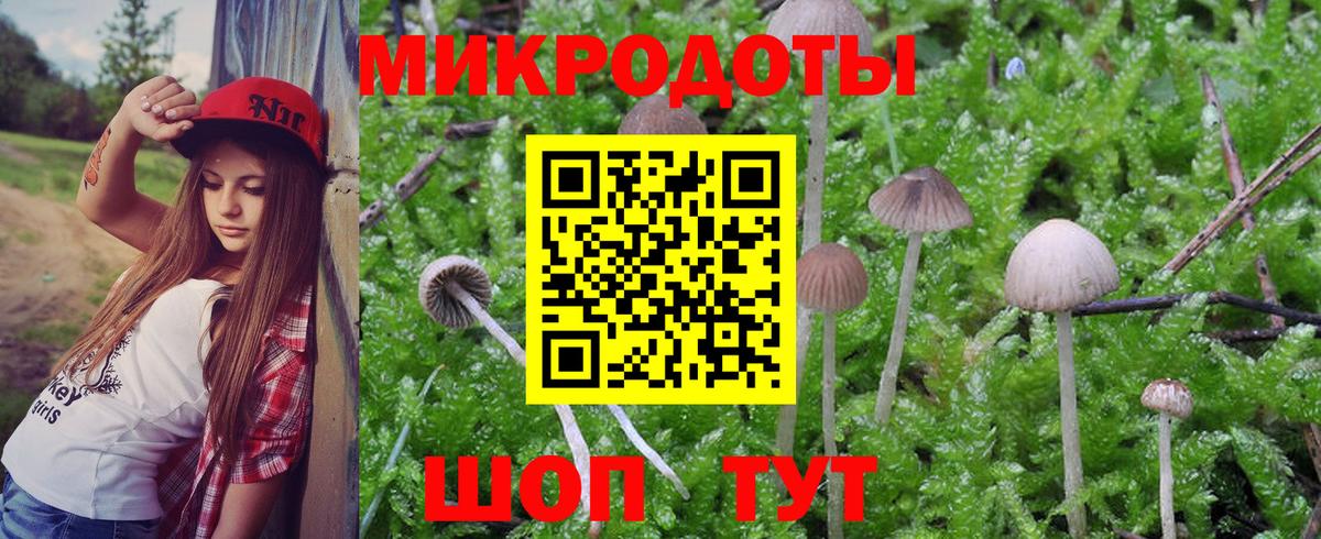 Галлюциногенные грибы Psilocybine cubensis  Вход с VPN  Долгопрудный 